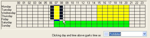 Marking a time region as prohibited